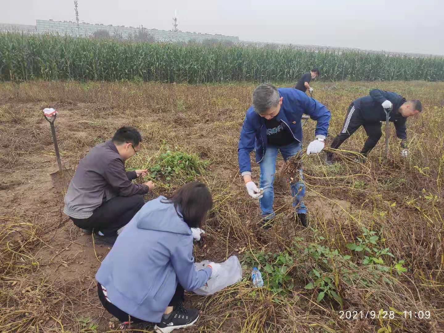 凯时登录·(中国)集团官网